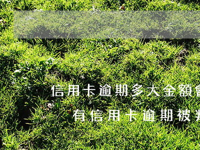 信用卡逾期多大金額會(huì)被判刑(有沒有信用卡逾期被判刑的)
