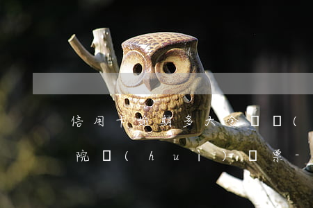 信用卡逾期多大金額會(huì)被起訴,法院會(huì)傳票-欠信用卡逾期多少會(huì)被起訴