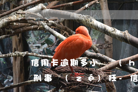 信用卡逾期多小錢會(huì)負(fù)刑事責(zé)任-信用卡逾期多小錢會(huì)負(fù)刑事責(zé)任呢