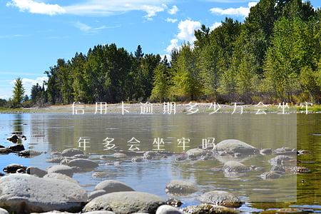 信用卡逾期多少万会坐牢吗(欠信用卡逾期一年多会坐牢吗)