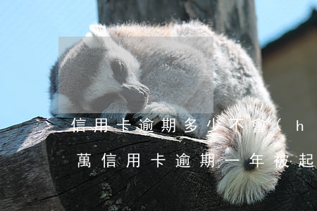 信用卡逾期多少不會(huì)被起訴(幾十萬信用卡逾期一年被起訴后果會(huì)怎么樣)