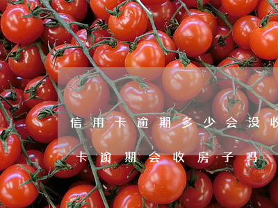 信用卡逾期多少会没收名下房产(有房贷信用卡逾期会收房子吗)