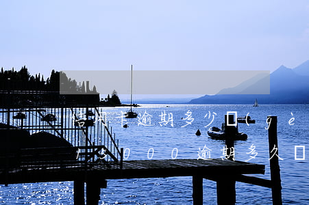 信用卡逾期多少個(gè)月被起訴(信用卡15000逾期多久銀行起訴)