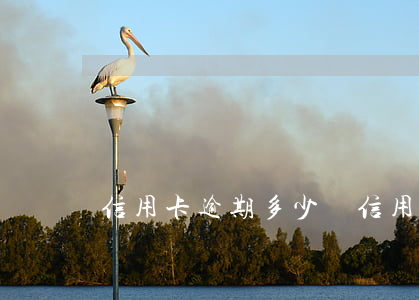 信用卡逾期多少億(信用卡逾期多少億會上門)