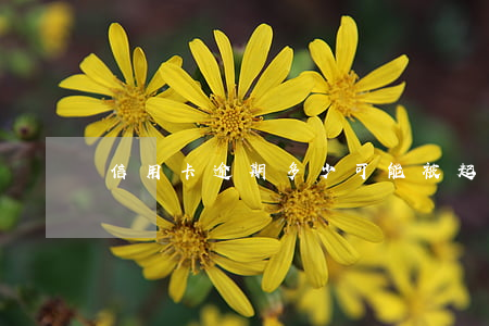 信用卡逾期多少可能被起訴