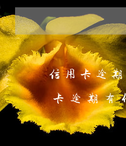 信用卡逾期多少報(bào)案(今年的信用卡逾期有什么處理)