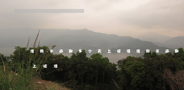 信用卡逾期多少天上征信(信用卡逾期多少天上征信)