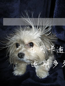 信用卡逾期多少天上訴-信用卡15000逾期多久銀行起訴