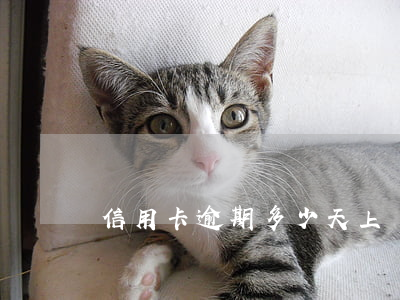 信用卡逾期多少天上門