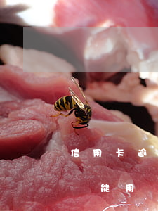 信用卡逾期多少天不能使用(信用卡逾期幾天還能用嗎)