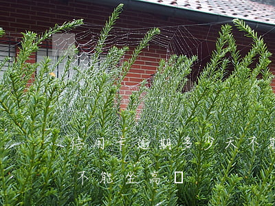 信用卡逾期多少天不能坐高鐵(欠信用卡多久不能坐高鐵)