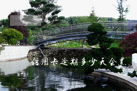信用卡逾期多少天会黑