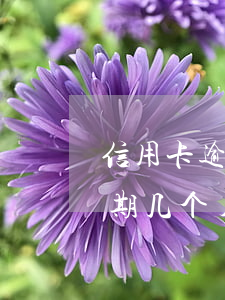 信用卡逾期多少天才会被记录-欠信用卡逾期几个月会立案