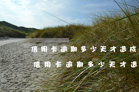 信用卡逾期多少天才造成刑事責(zé)任 信用卡逾期多少天才造成刑事責(zé)任判決書