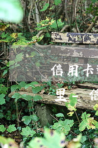 信用卡逾期多少天會(huì)寄郵件到家里-信用卡逾期多少天會(huì)寄郵件到家里去