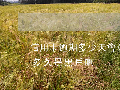 信用卡逾期多少天會(huì)成黑戶 逾期多久是黑戶啊