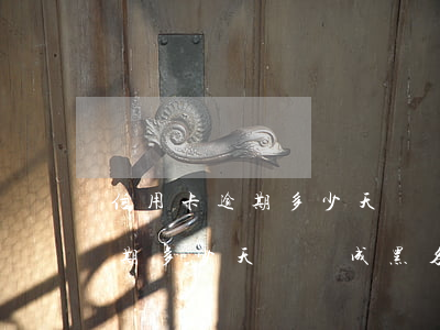 信用卡逾期多少天會變成黑名單-信用卡逾期多少天會變成黑名單了