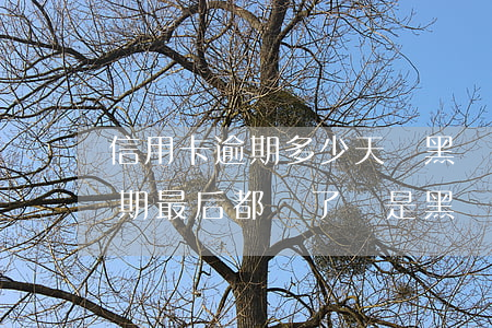 信用卡逾期多少天會黑戶(貸款逾期信用卡逾期最后都還了會是黑戶嗎)