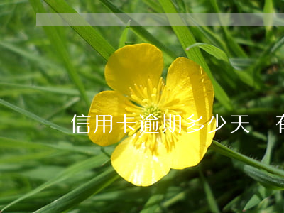 信用卡逾期多少天沒有利息(信用卡 逾期 幾天)