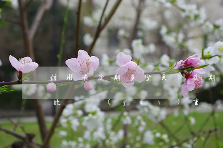 信用卡逾期多少天為逾期(信用卡逾期多少天比較嚴(yán)重)