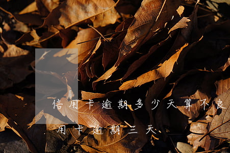 信用卡逾期多少天算不良(每個(gè)月信用卡逾期三天)