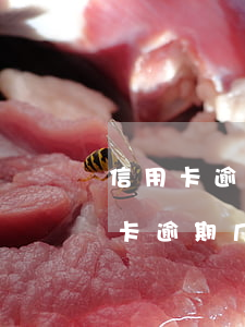 信用卡逾期多少天进入不良记录(忘记还信用卡逾期几天会有不良记录吗)
