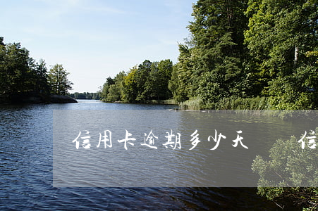 信用卡逾期多少天違約(信用卡逾期多少天違約)