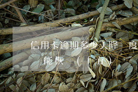 信用卡逾期多少天降額度(信用卡逾期降額度還能恢復(fù)嗎)