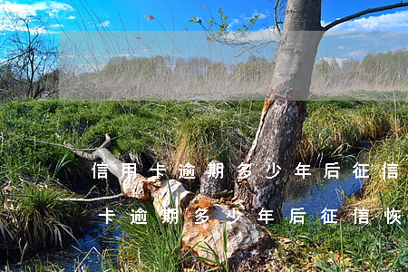 信用卡逾期多少年后征信恢復(fù) 信用卡逾期多少年后征信恢復(fù)正常