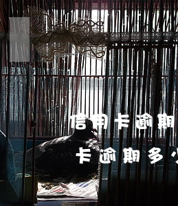 信用卡逾期多少年才會(huì)坐牢(信用卡逾期多少年才會(huì)坐牢)