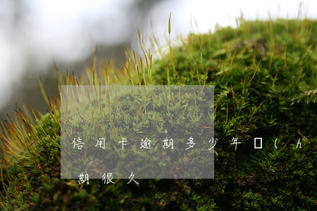 信用卡逾期多少年會(huì)好(信用卡逾期很久)