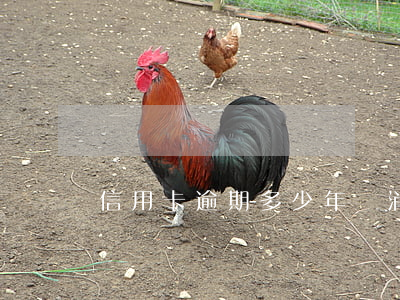信用卡逾期多少年會消失的行業(yè)