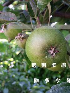 信用卡逾期多少年算黑名单里面-信用卡逾期多少年算黑名单里面的人