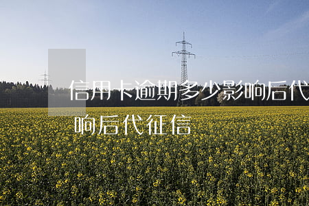 信用卡逾期多少影响后代(信用卡逾期多少影响后代征信)