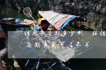 信用卡逾期多少影響征信記錄 征信中信用卡逾期多久可以不算