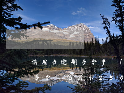 信用卡逾期多少手續(xù)費(fèi)多少錢(信用卡2500逾期一個月要多少錢)