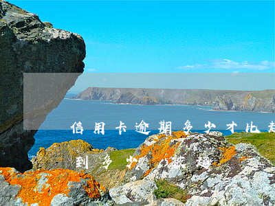 信用卡逾期多少才比起訴(信用卡逾期金額達到多少會被起訴)