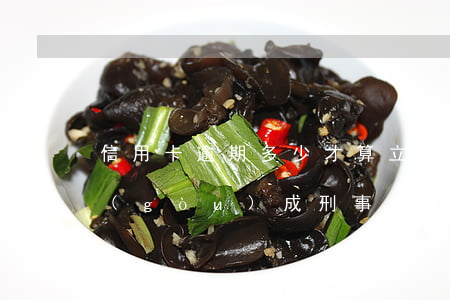 信用卡逾期多少才算立案(信用卡逾期多少構(gòu)成刑事)