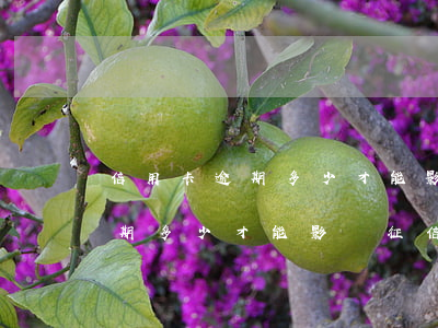 信用卡逾期多少才能影響征信貸款（信用卡逾期多少才能影響征信）