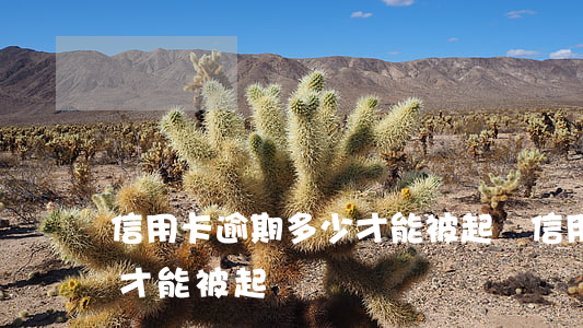 信用卡逾期多少才能被起訴(信用卡逾期多少才能被起訴)