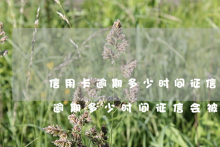 信用卡逾期多少时间征信会被拉黑-信用卡逾期多少时间征信会被拉黑呢