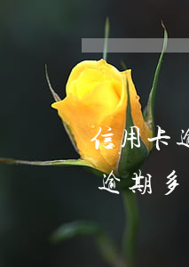 信用卡逾期多少时间银行可以起诉(欠信用卡逾期多久会被起诉)