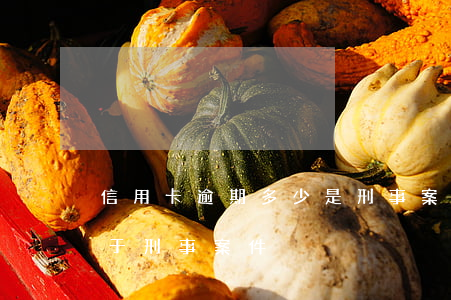信用卡逾期多少是刑事案件(欠信用卡多少屬于刑事案件)