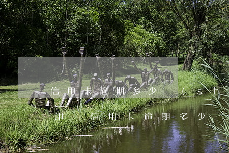 信用卡逾期多少時(shí)間不能正常使用-信用卡逾期多少時(shí)間不能正常使用了