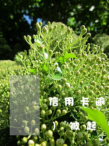 信用卡逾期多少時(shí)間會(huì)被起訴(信用卡逾期多少時(shí)間會(huì)被起訴)