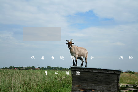 信用卡逾期多少時間消除(信用卡逾期多長時間可以消除)