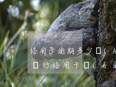 信用卡逾期多少會(huì)上門催收嗎(欠銀行信用卡會(huì)上門催收嗎)