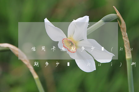 信用卡逾期多少會(huì)刑事(信用卡逾期多少會(huì)刑事責(zé)任)