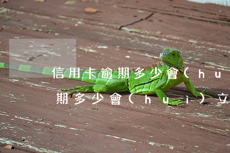 信用卡逾期多少會(huì)立案(信用卡逾期多少會(huì)立案起訴)