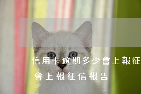 信用卡逾期多少會上報征信(信用卡逾期多少會上報征信報告)